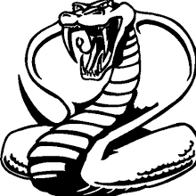 Venomous_Cobra