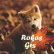 Rokas_Grs