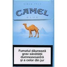 Camel_Melynas