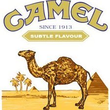 Dede_Camel