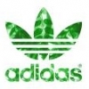 Adidas_Green